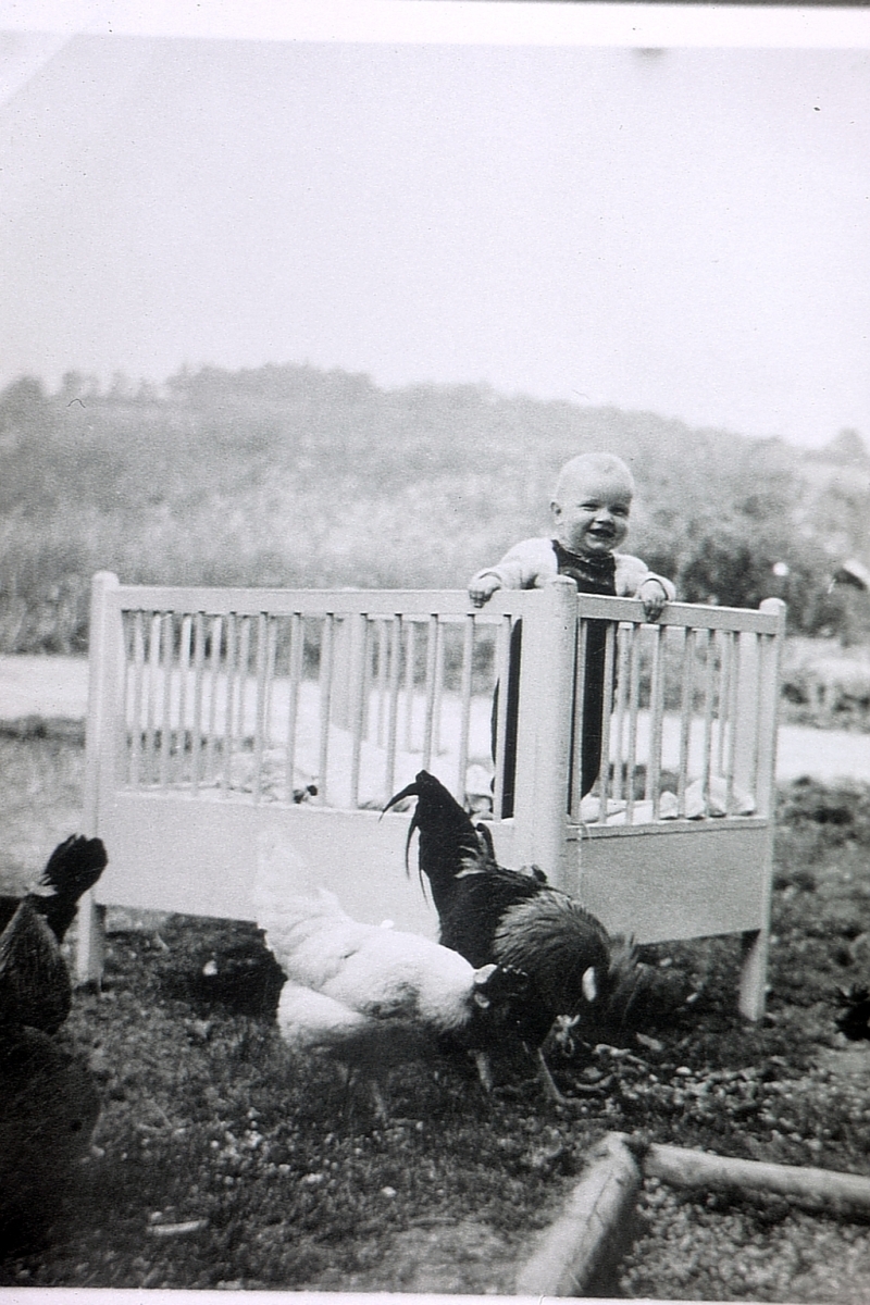 Franz mit Hühnern. Foto: Privat